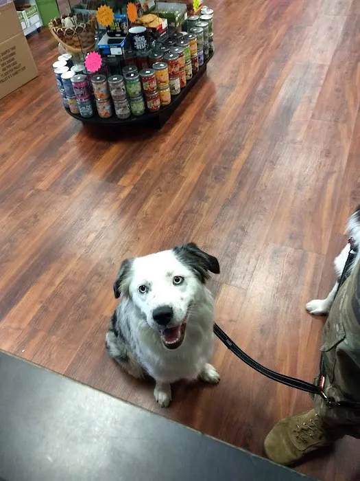 Naturally Unleashed Pet Nutrition Center Picture 1