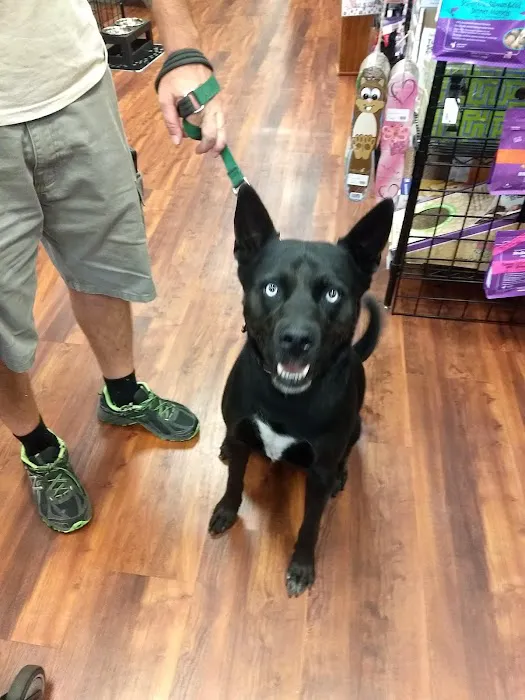 Naturally Unleashed Pet Nutrition Center Picture 7