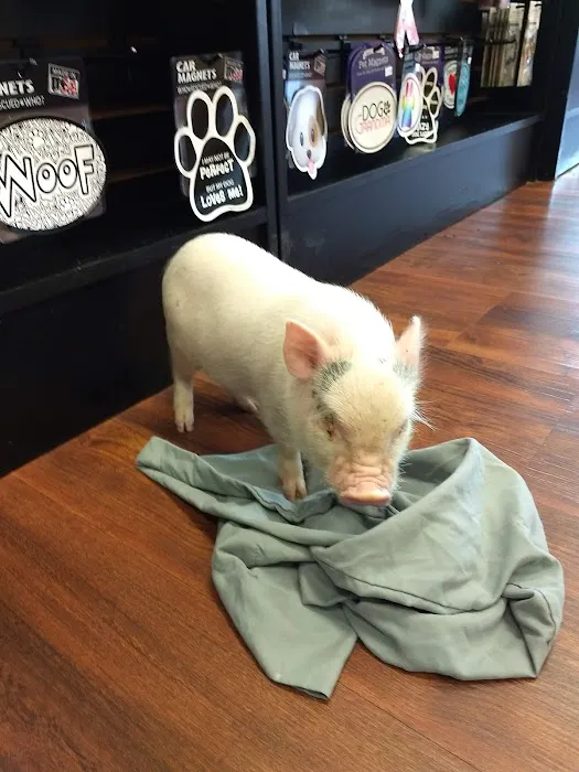 Naturally Unleashed Pet Nutrition Center Picture 3