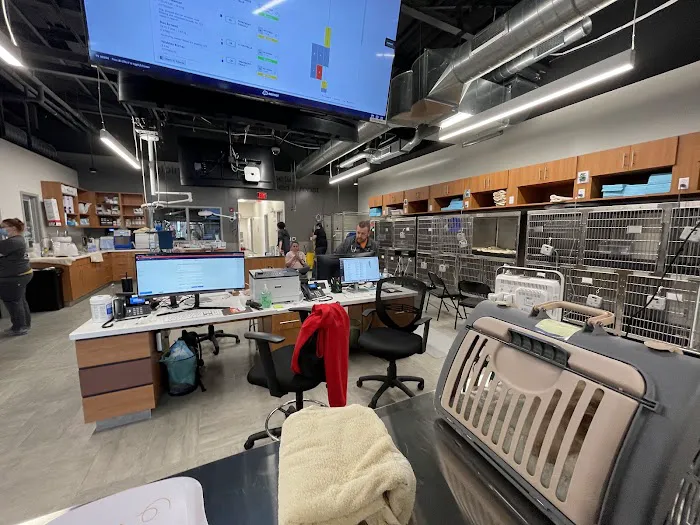 Veterinary Emergency Group Picture 2