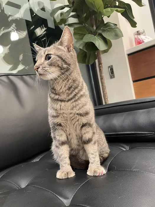 Veterinary Emergency Group Picture 1