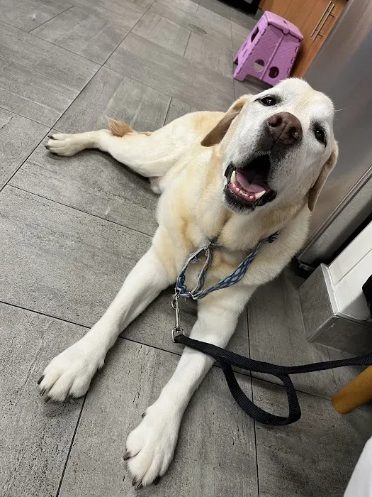 Veterinary Emergency Group Picture 5