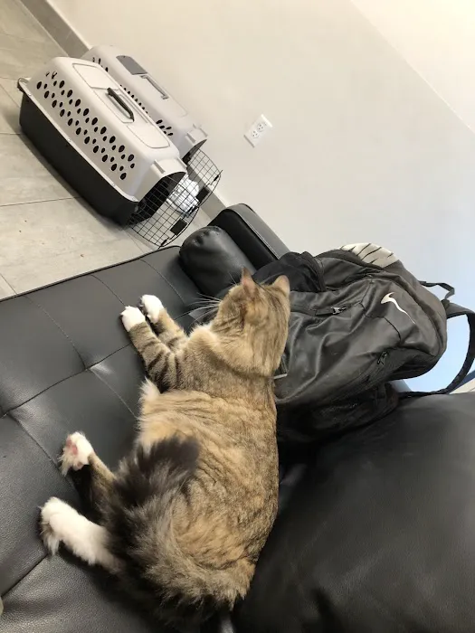 Veterinary Emergency Group Picture 7