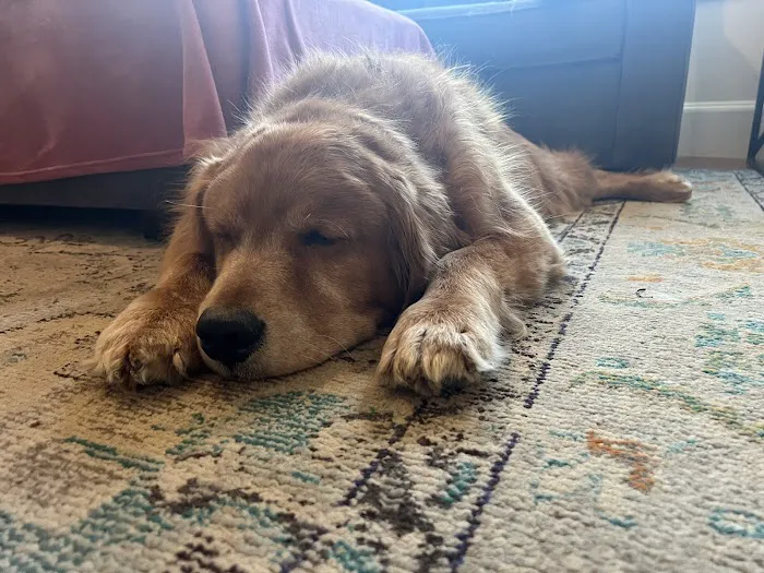 Veterinary Emergency Group Picture 9