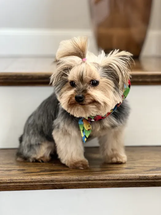 Veterinary Emergency Group Picture 10