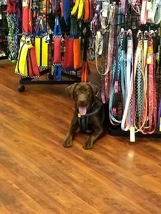 Naturally Unleashed Pet Nutrition Center Picture 4