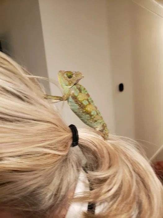 Charmin's Pet Store LLC Picture 3