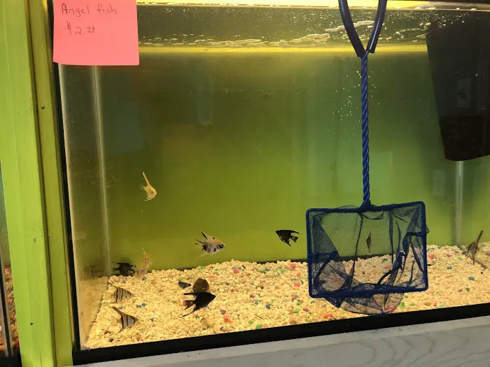 Charmin's Pet Store LLC Picture 8
