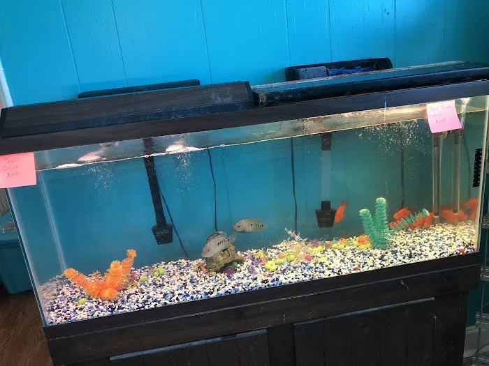 Charmin's Pet Store LLC Picture 4