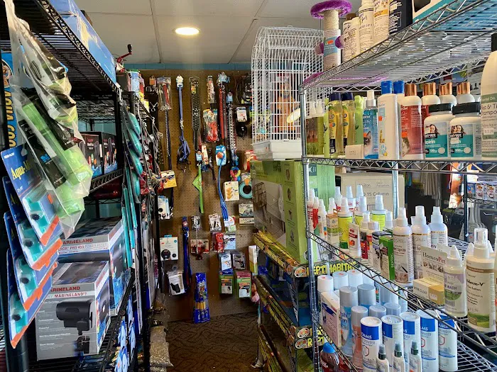 Charmin's Pet Store LLC Picture 7