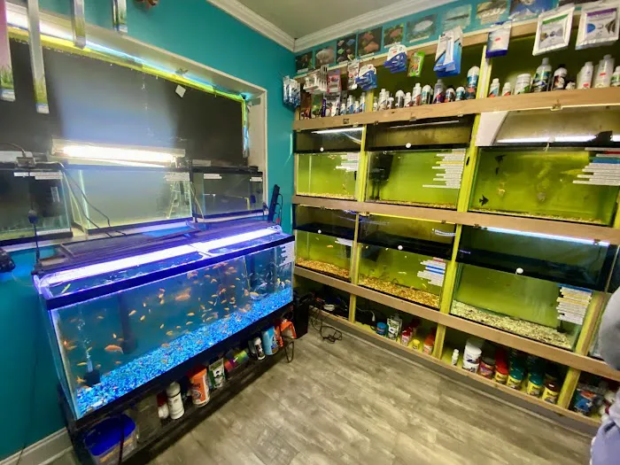 Charmin's Pet Store LLC Picture 5