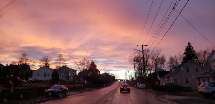 VCA Abbott Animal Hospital Picture 8