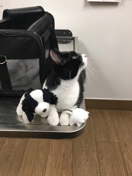 VCA Abbott Animal Hospital Picture 6