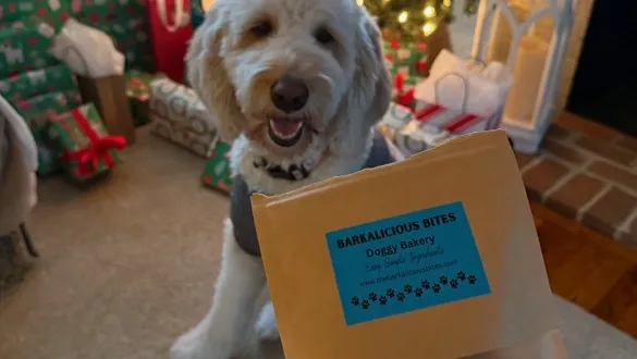 Barkalicious Bites Picture 3