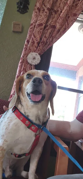 Sanctuary Animal Clinic Picture 2