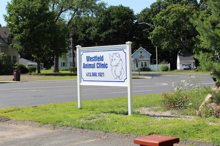 Westfield Animal Clinic Picture 5