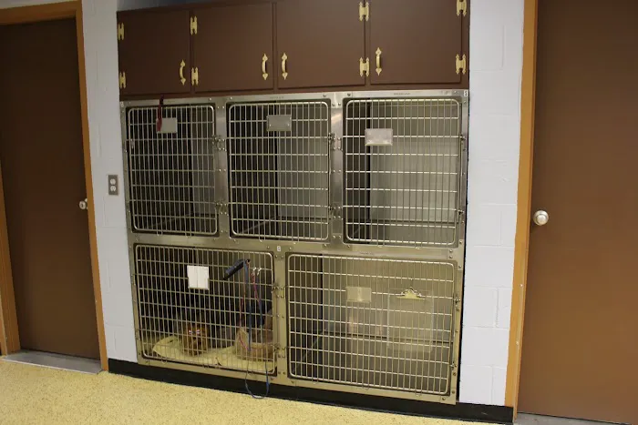 Westfield Animal Clinic Picture 4