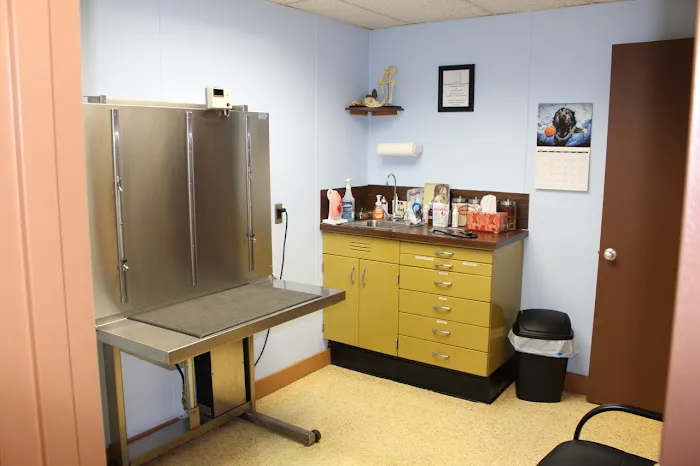 Westfield Animal Clinic Picture 7