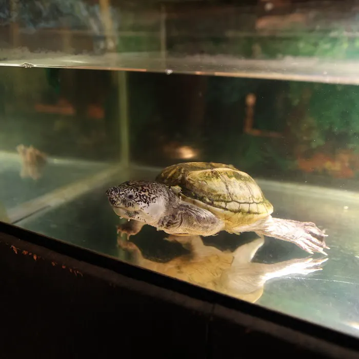 Kernersville Reptile Zoo, Medical Center & Pet Store Picture 5