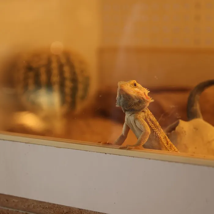 Kernersville Reptile Zoo, Medical Center & Pet Store Picture 2