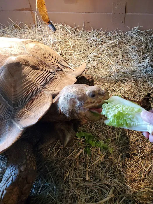 Kernersville Reptile Zoo, Medical Center & Pet Store Picture 10