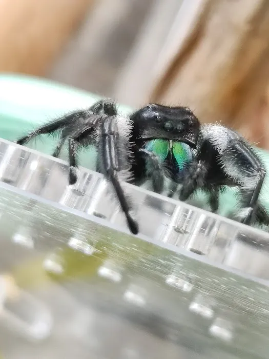 Kernersville Reptile Zoo, Medical Center & Pet Store Picture 9