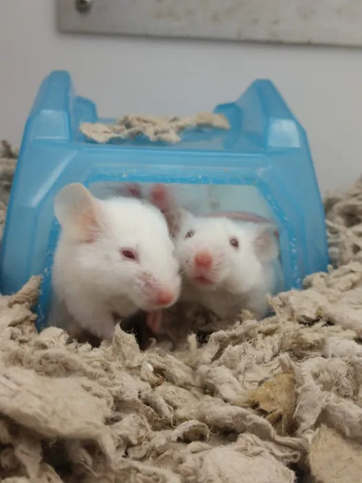Petco Picture 6