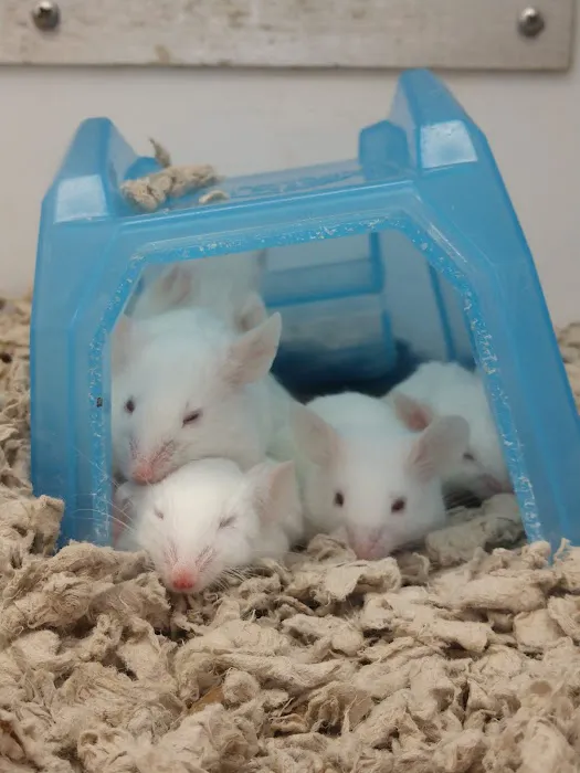 Petco Picture 7