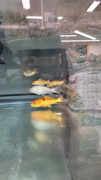 Petco Picture 8