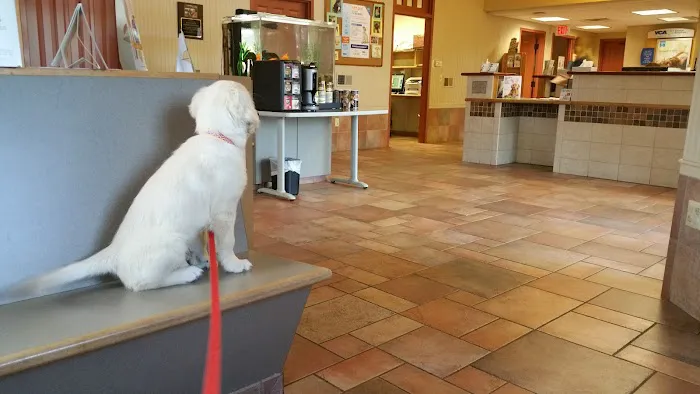 Southwick Animal Hospital: Burgess Margaret E DVM Picture 1