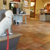 Southwick Animal Hospital: Burgess Margaret E DVM ico