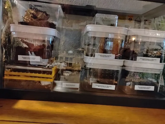 Exotics Unlimited Picture 4