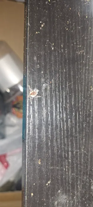 Exotics Unlimited Picture 8