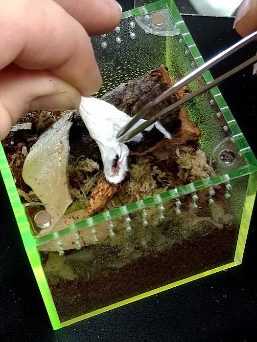 Exotics Unlimited Picture 3