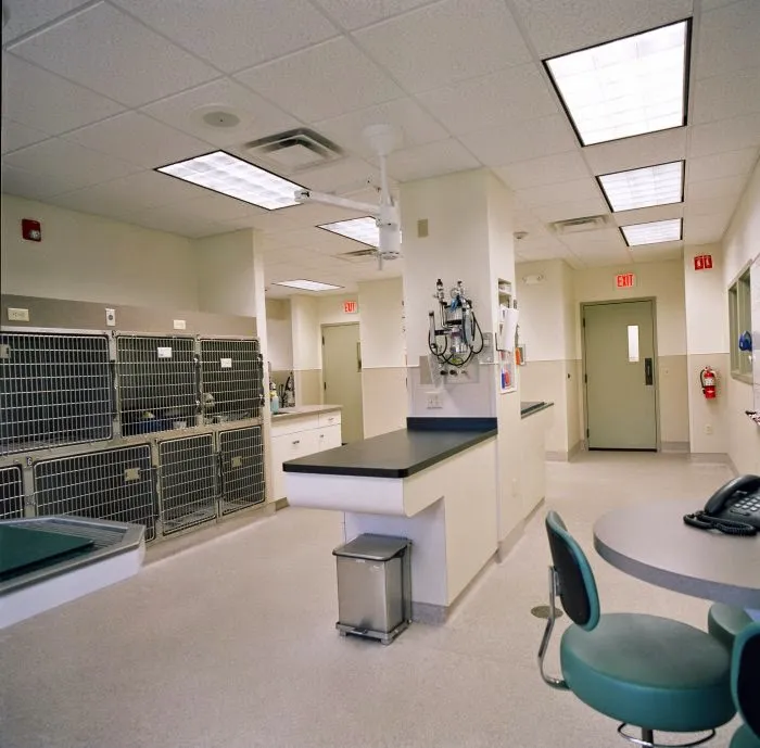 VCA Southwick Animal Hospital Picture 8