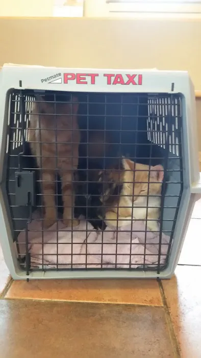 VCA Southwick Animal Hospital Picture 1