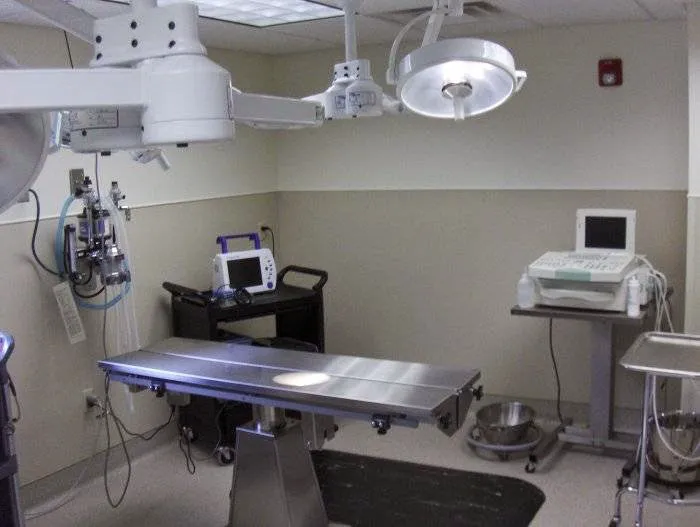 VCA Southwick Animal Hospital Picture 7