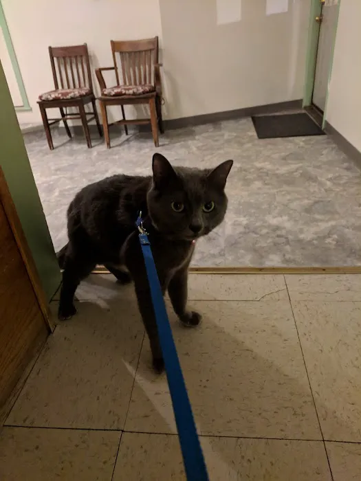 Pet House Calls Veterinary Clinic Picture 3