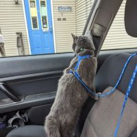 Pet House Calls Veterinary Clinic ico