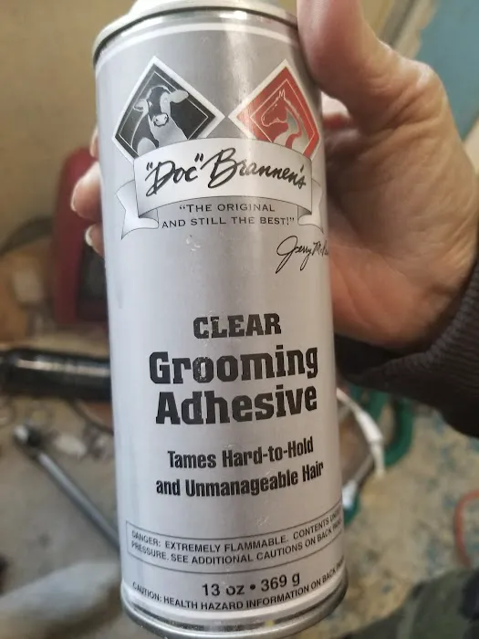 Shadow Hill Picture 1