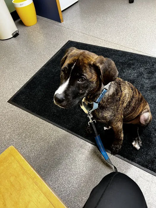 Riverbend Animal Hospital Picture 2