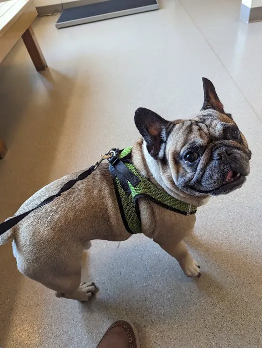 Riverbend Animal Hospital Picture 6