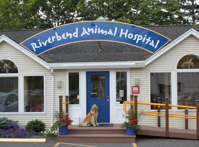 Riverbend Animal Hospital Picture 7