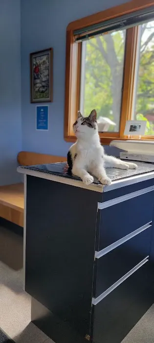 Riverbend Animal Hospital Picture 9