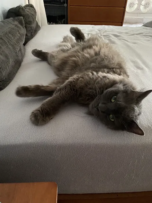 Riverbend Animal Hospital Picture 3