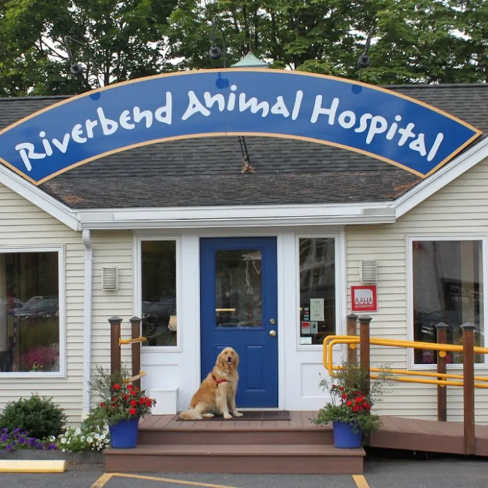 Riverbend Animal Hospital Picture 4