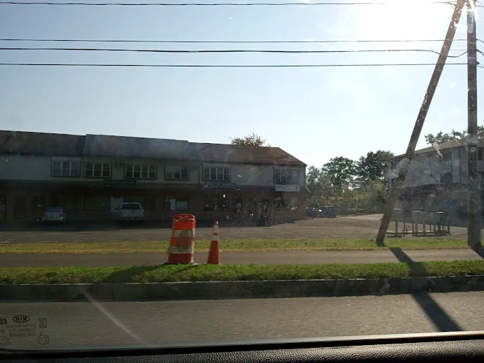 The Cat Hospital Picture 7