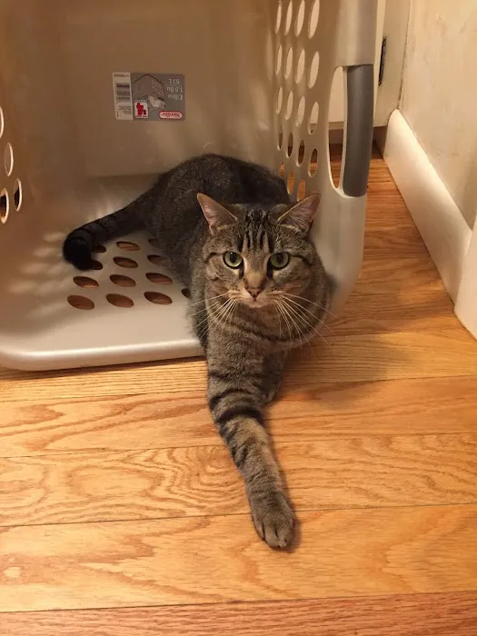 Integrity Veterinary Center Picture 4