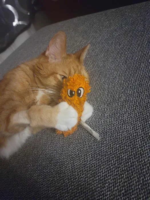 Integrity Veterinary Center Picture 7