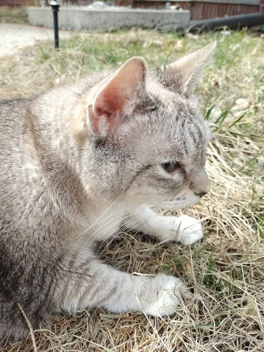 Integrity Veterinary Center Picture 9